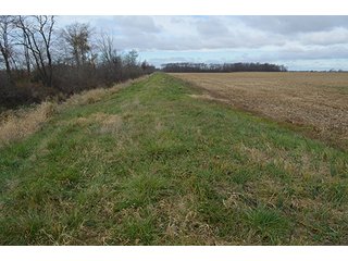 Property photo 40 - LAND AUCTION - 276.5+/- ACRES OFFERED IN 5 TRACTS IN EAST ALLEN COUNTY